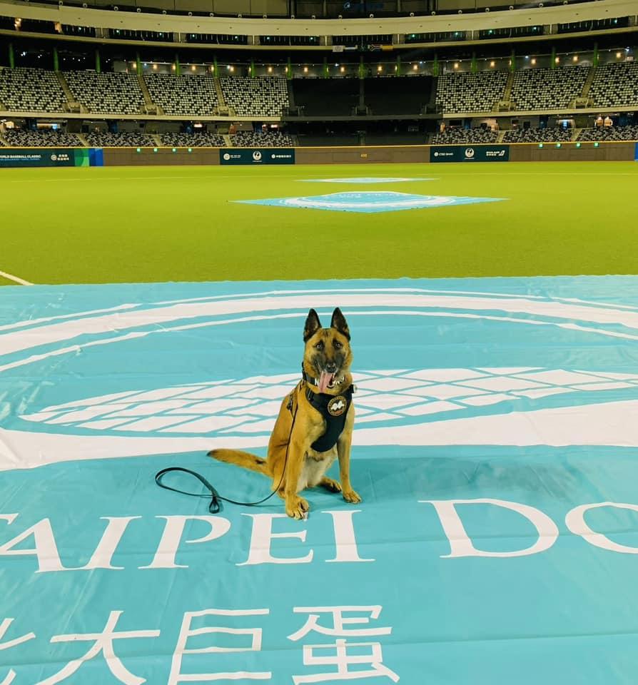 警犬隊一早出勤。（圖／翻攝臉書粉專　新北市政府警察局警犬隊）