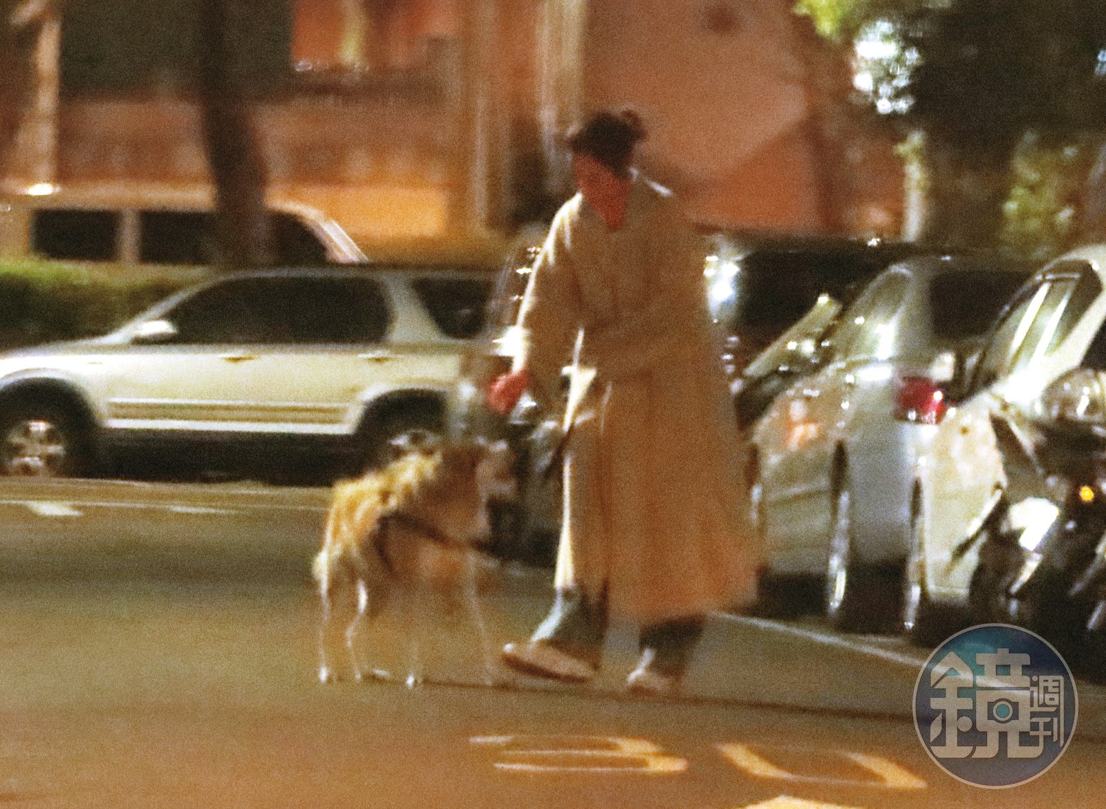 01:19 返家後大霈又出門遛狗,在外面和狗狗玩了好一陣子。(圖/鏡週刊)