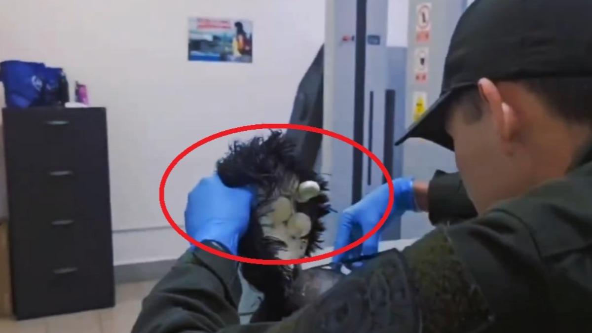 戴著藍色手套的警察用剪刀小心翼翼地剪開、摘下男子的假髮，裡頭露出一包又一包的古柯鹼。（圖／翻攝自X@PoliciaColombia）