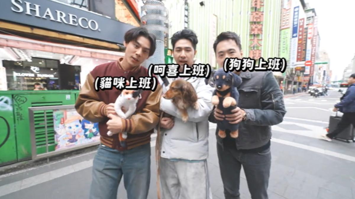 圖／翻攝自 《萌寵明星粗乃玩》