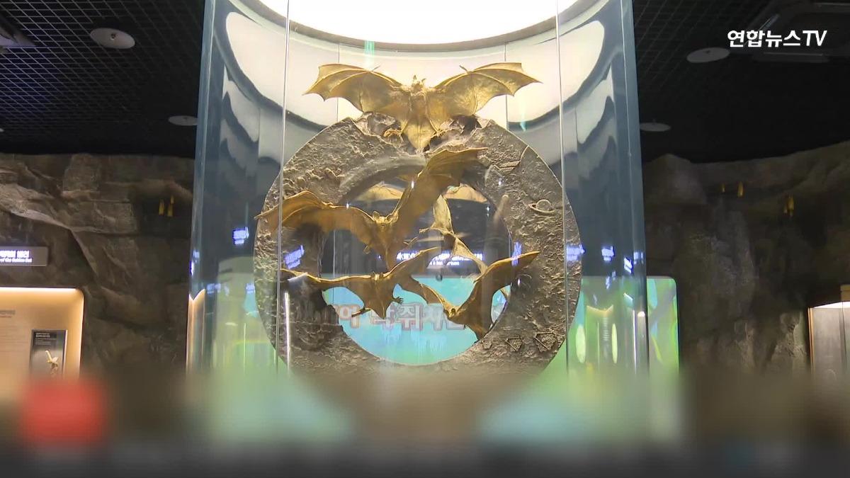 圖/畫面提供YonhapnewsTV