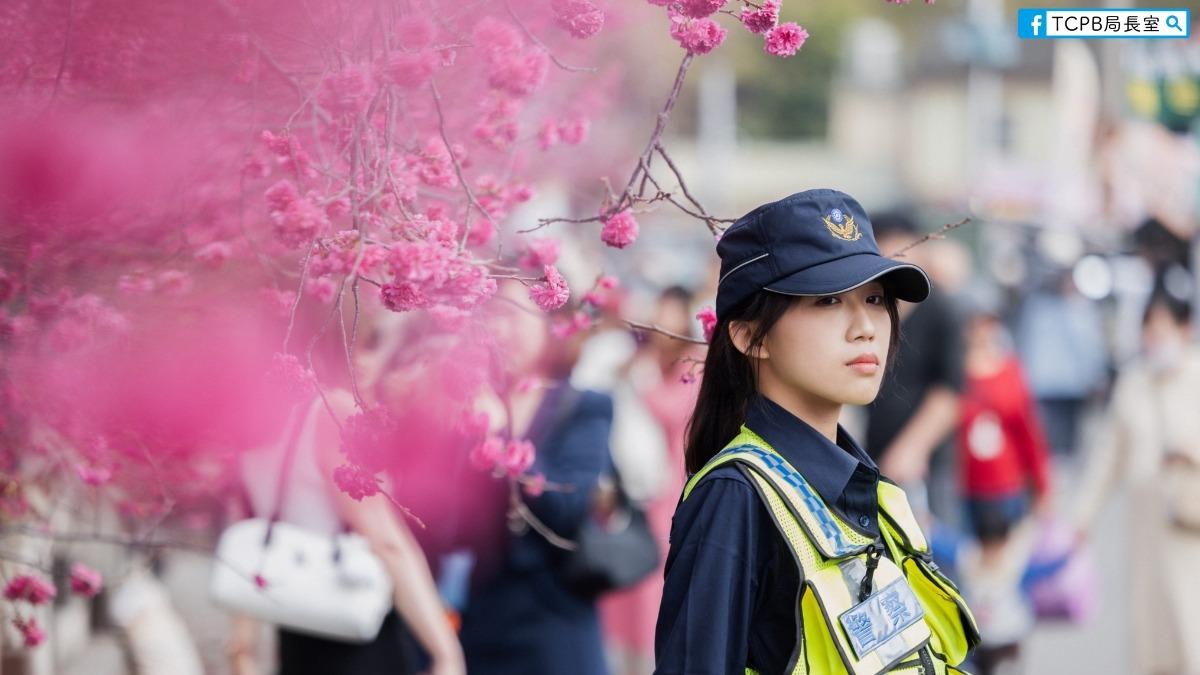 泰安櫻花季倒數2天!「仙女警花」交管引暴動 一票全跪:求上銬