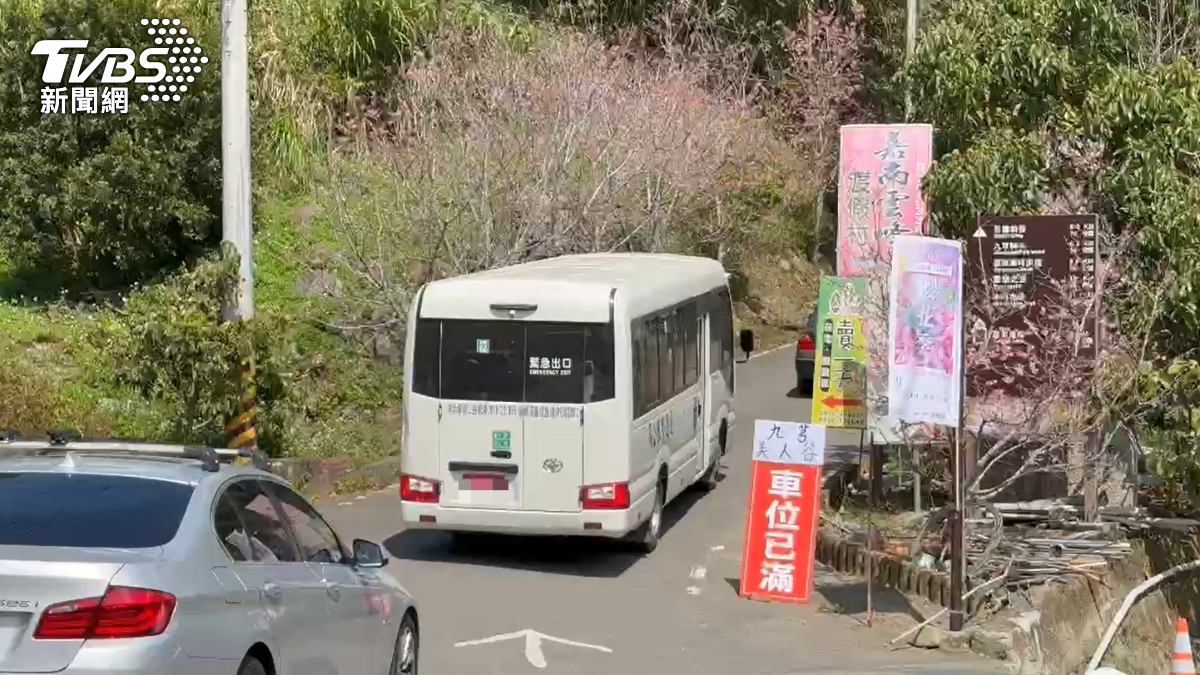 連假賞櫻人潮塞爆。(圖/TVBS)