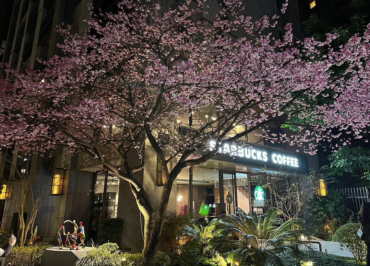 星巴克林口中山門市。(圖/翻攝自星巴克)