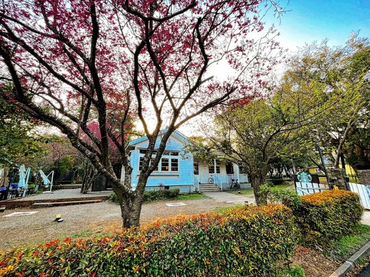星巴克草山門市。(圖/翻攝自星巴克)