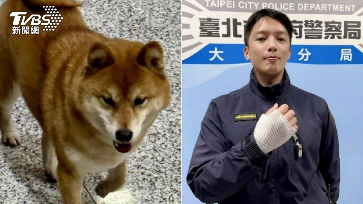 超萌柴犬走失被帶進警局…下秒竟「襲警」 警笑:該逮捕牠嗎?