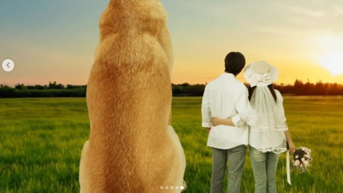 孫協志和夏宇童宣布結婚。（圖／翻攝孫協志IG）