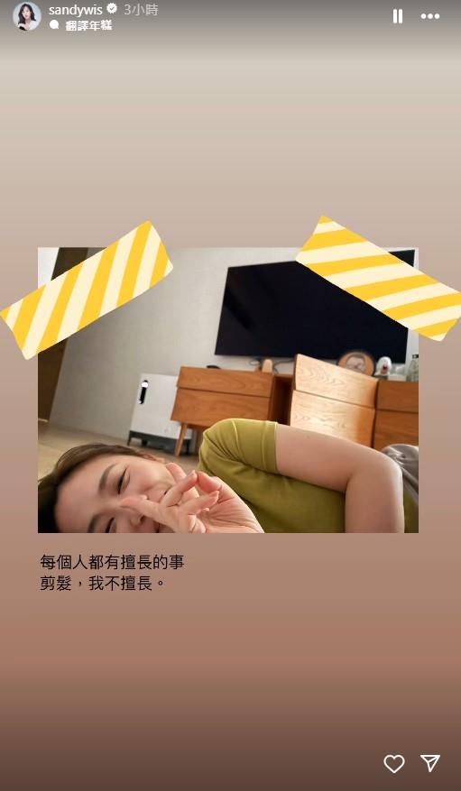 Sandy看到自己的傑作不禁笑翻。(圖/翻攝自IG @sandywis)