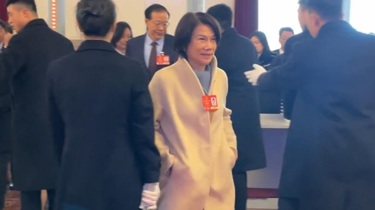 董明珠以大陸全國人大身分參加兩會(圖/TVBS)