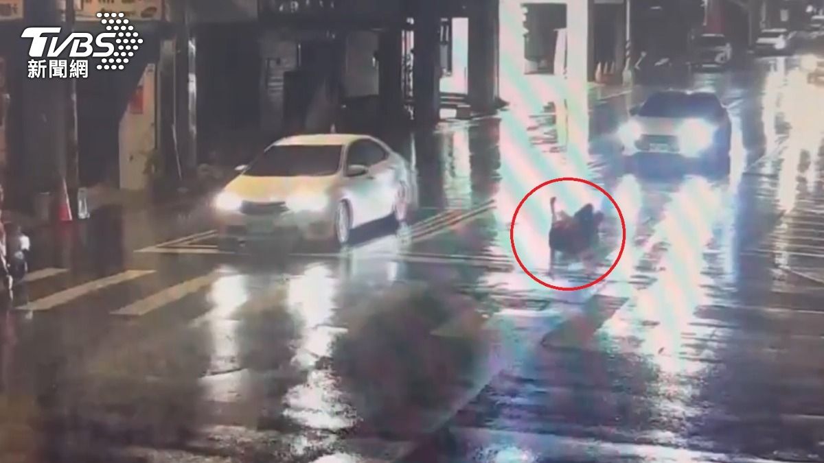 喝酒嗎?苗栗女深夜「雨中躺馬路」自拍 警要開罰了