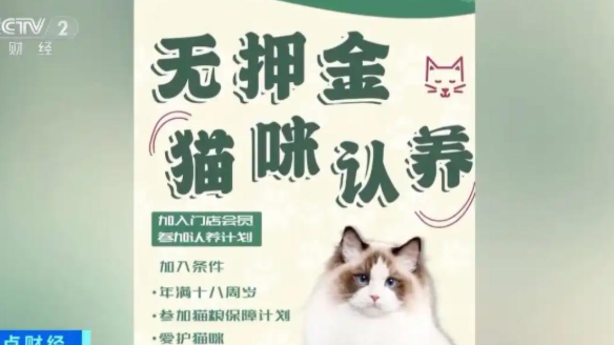 大陸央視發現,去年全年網路上關於「免費領養」的相關投訴案共有1000多件,多半都是集中在寵物的健康有問題,以及寵物店販售的飼料產品價格過高等。(圖/大陸央視)