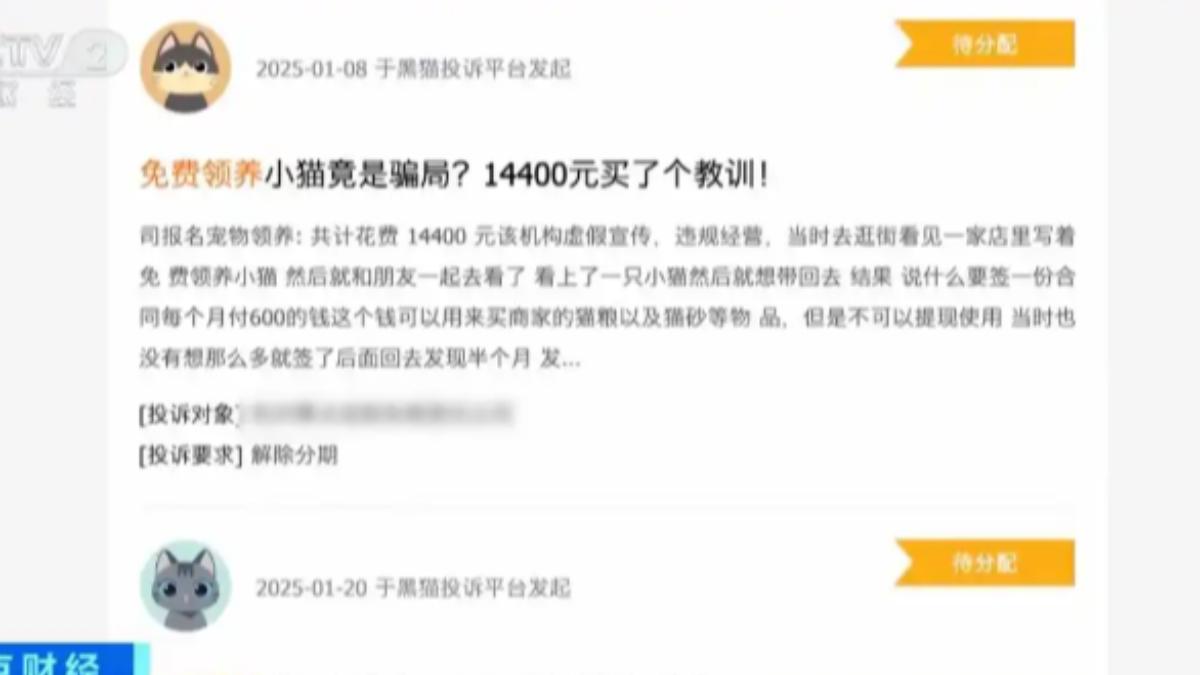 業內人士透露,所謂的「免費領養」,只是販賣寵物的新銷售方式,如果比起直接購買,這種分期花費的領養,其實支出更高。(圖/大陸央視)