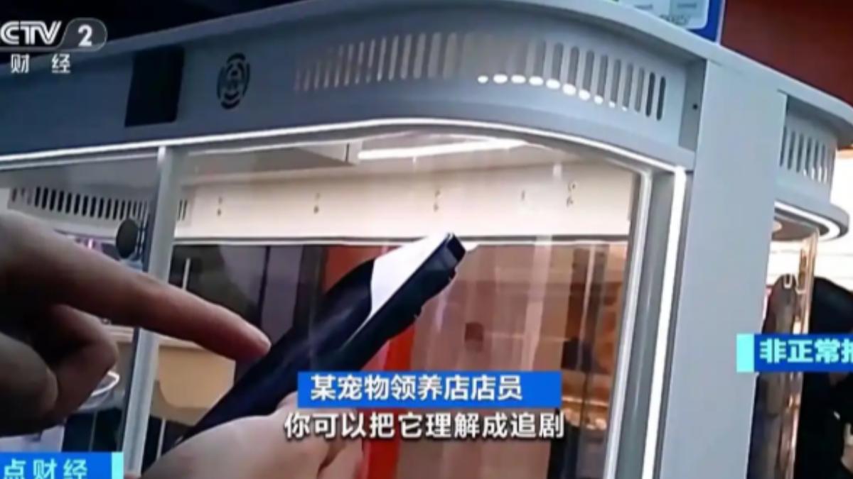有店員很直白地表示,「你可以把它理解成追劇,為了那部劇去開的會員。這也一樣,為了養這隻貓我存一筆錢,而且錢是給牠花的。」(圖/大陸央視)