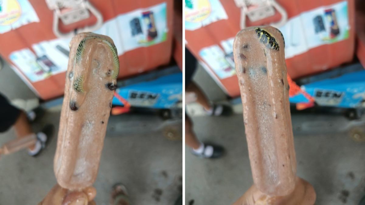 冰棒中竟有一條完整的小蛇。（圖／翻攝自 FB เรย์แบน นักเลงบุญ ปากท่อ เมืองราชรี）