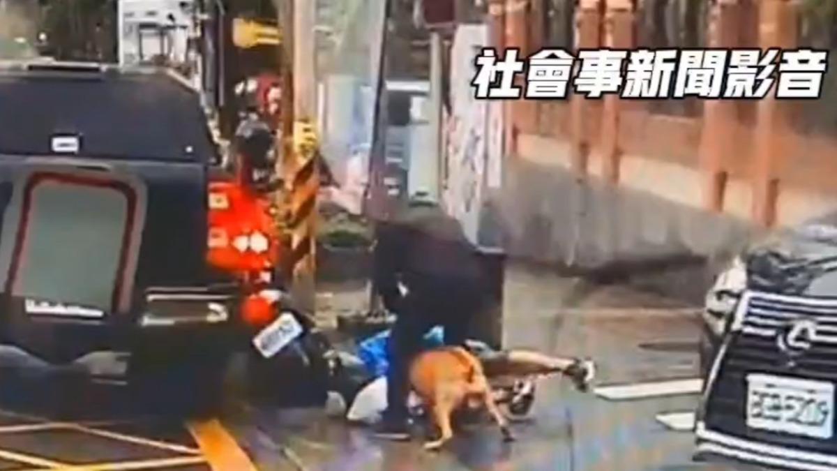 等紅燈遭比特犬「跳窗狂咬不放」 飼主拉不開害騎士腳傷