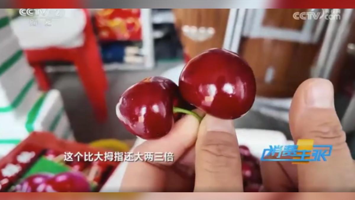 北京水果供應商李先生表示,如果美國水果漲價太多,大不了就不進貨,改從南美洲的祕魯、智利等國家採購,或是改賣大陸國產櫻桃。(圖/大陸央視)