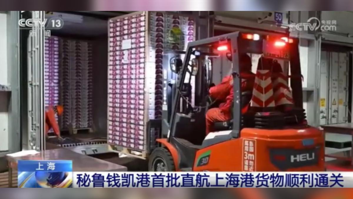 大陸出資在祕魯打造錢凱港,讓南美洲的水果能快速進口到中國大陸。(圖/大陸央視)