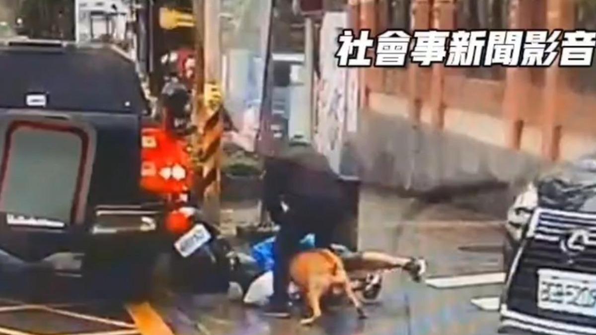 比特犬突躍車窗咬傷騎士!飼主恐挨罰 北市動保處調查中