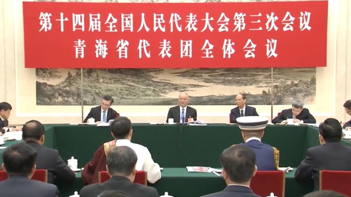 出席「台灣團」審議 王滬寧:反台獨擴交流(圖/CCTV+)