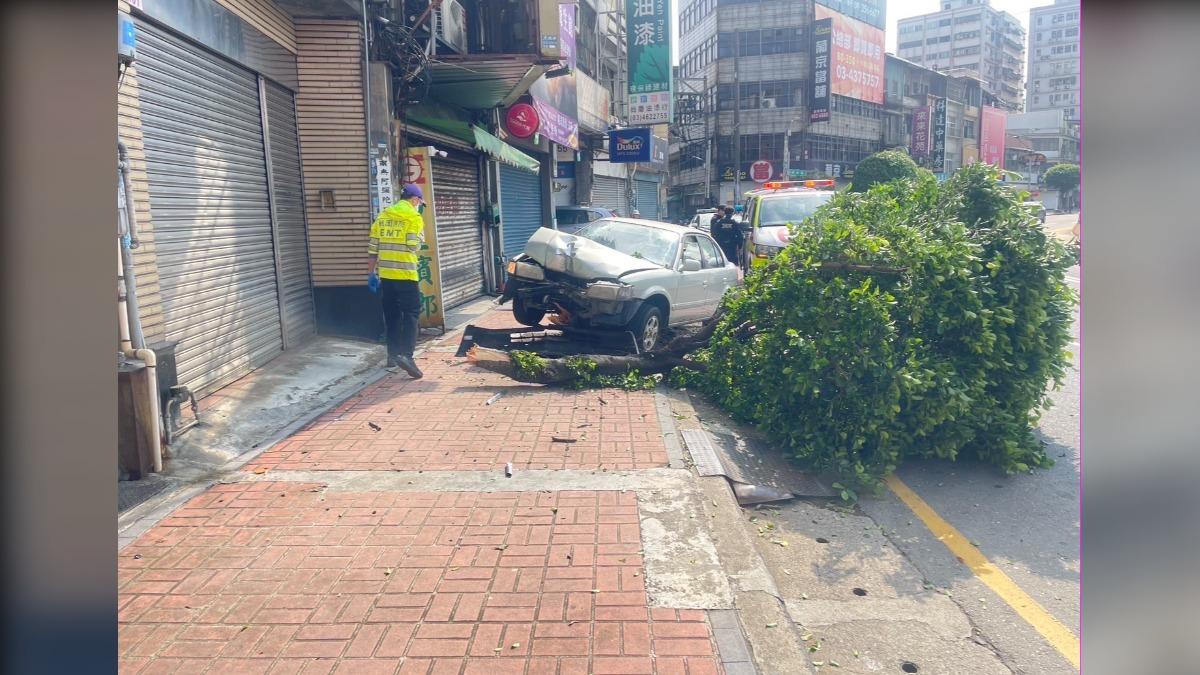 小客車彎道沒煞車 直行撞斷行道樹