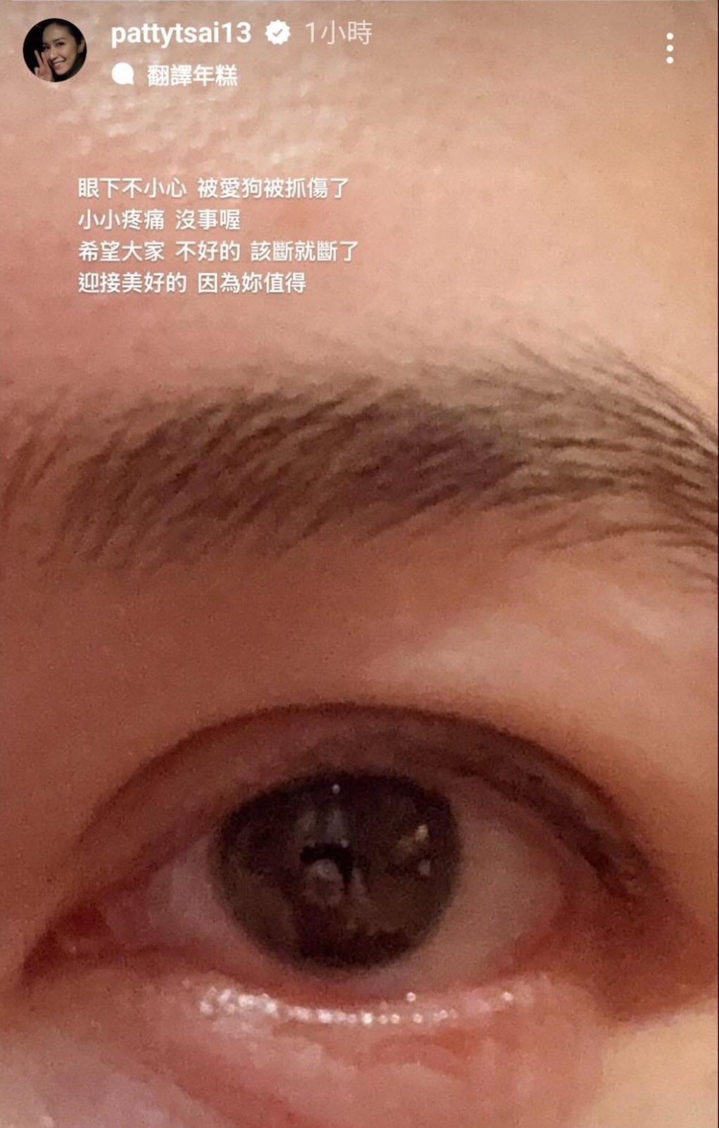 蔡依珊發文又秒刪。(圖/翻攝自蔡依珊IG)