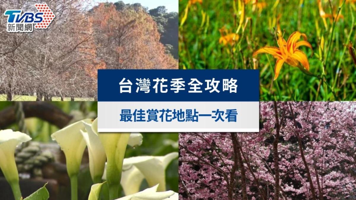 2025台灣花季攻略》四季花期、必訪賞花景點與最佳拍照時間