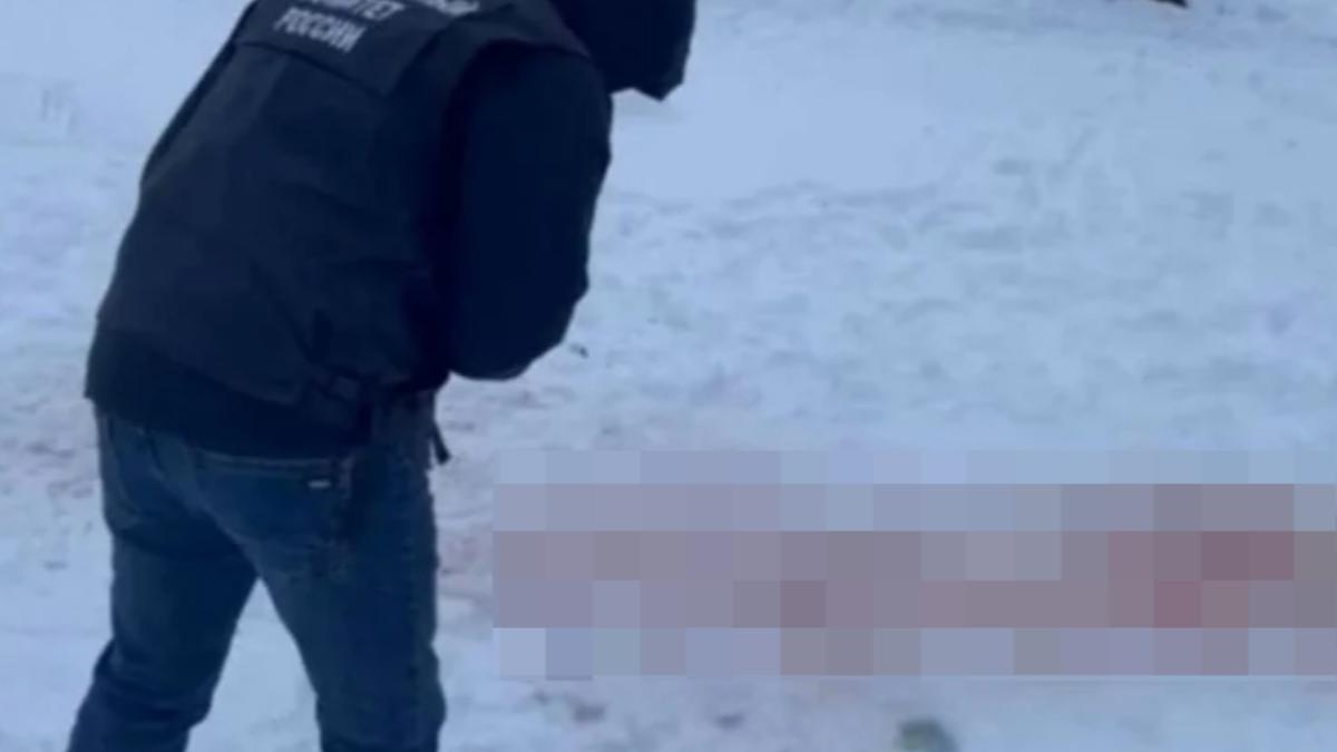 恐怖！9歲女雪地行走被狗群尾隨撲倒　遭撕咬慘死