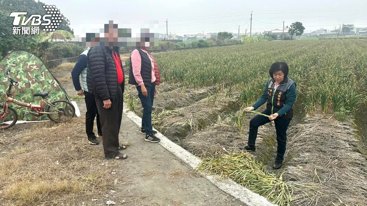 莿桐鄉長廖秋蓉到場了解。（圖／莿桐鄉長廖秋蓉提供）