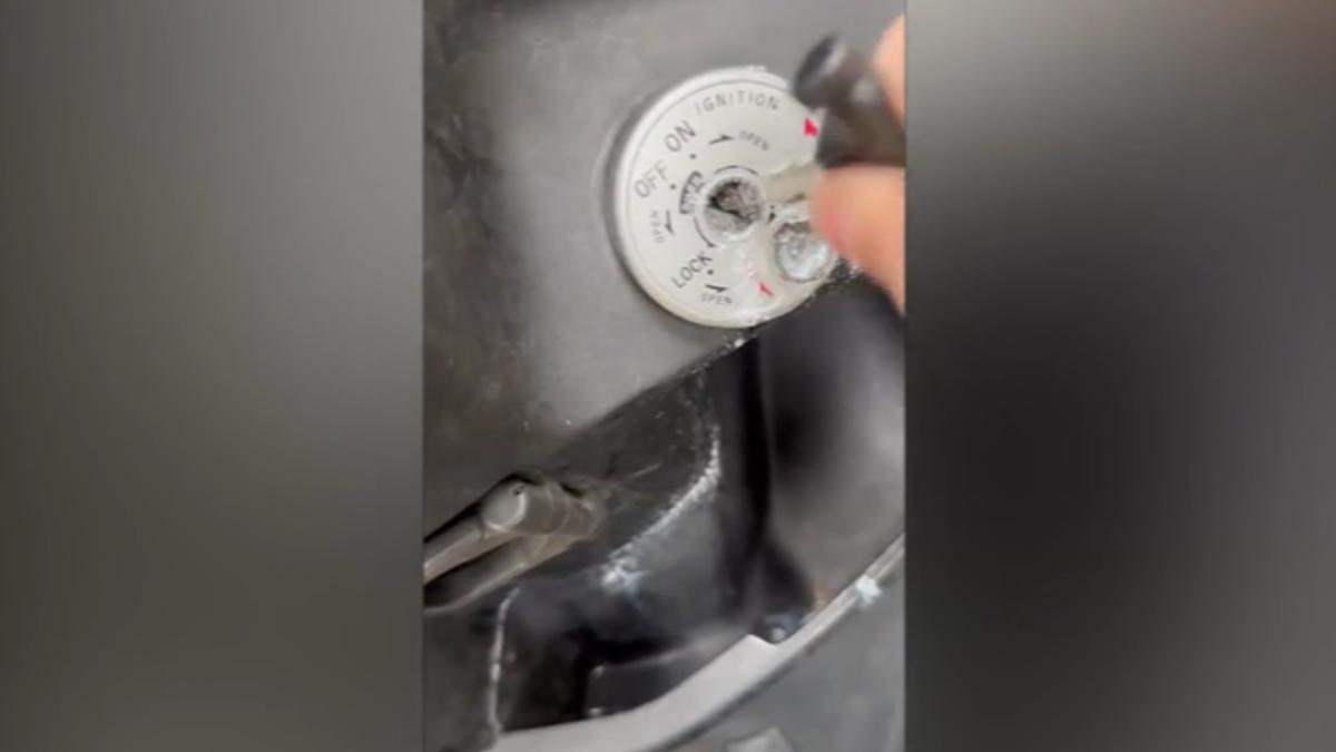 圖／廖先生提供