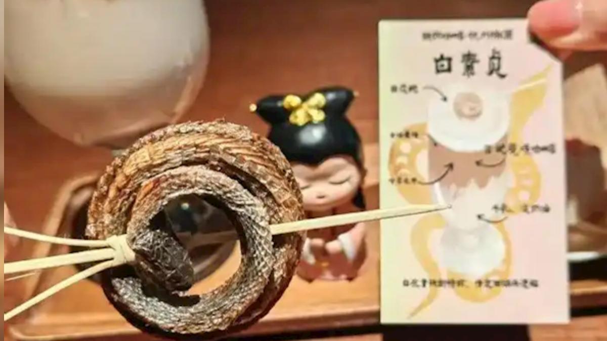 杭州咖啡館推出有蛇乾的“蛇咖”。(圖/小紅書)
