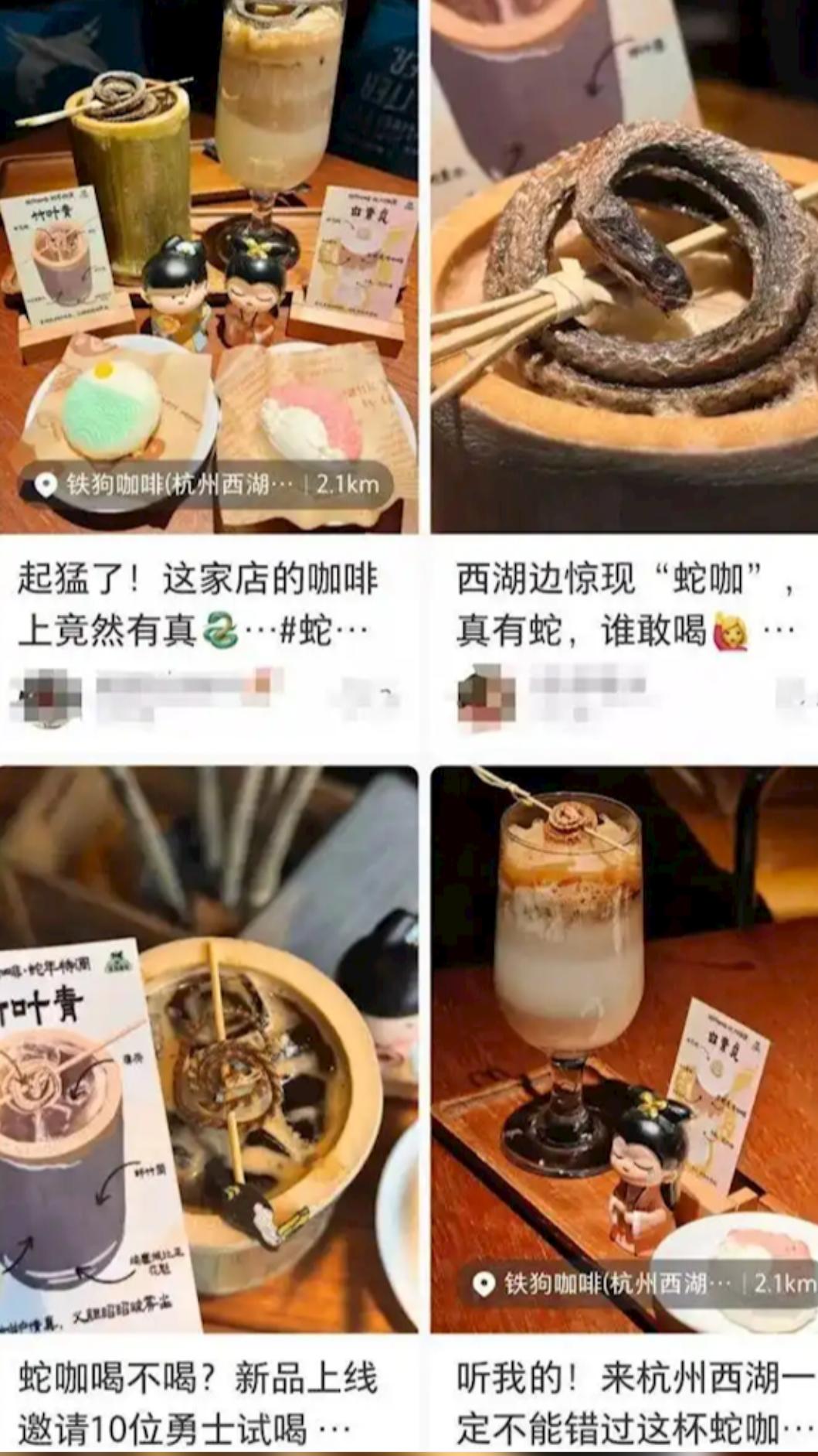 有蛇乾的“蛇咖”引發議論。(圖/小紅書)