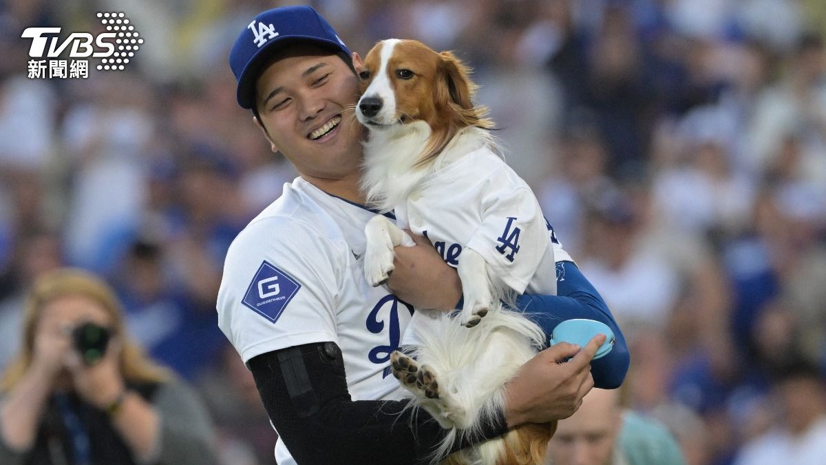 大谷翔平將與愛犬Decoy一同加入《要塞英雄》。（圖／達志影像路透社）