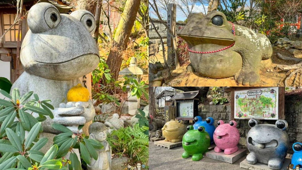 蛙魅力!福岡「如意輪寺」超吸睛 日版「九蛙疊像」陪你求好運