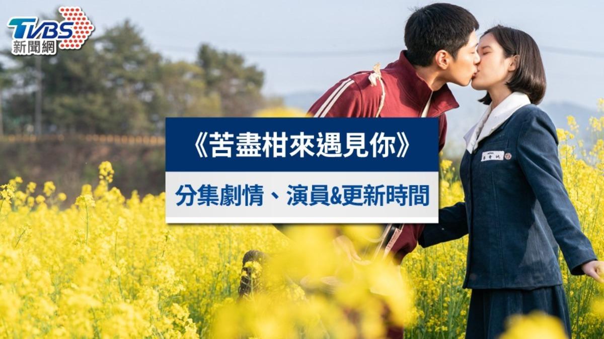 《苦盡柑來遇見你》分集劇情1-16集解析|線上看結局&演員陣容