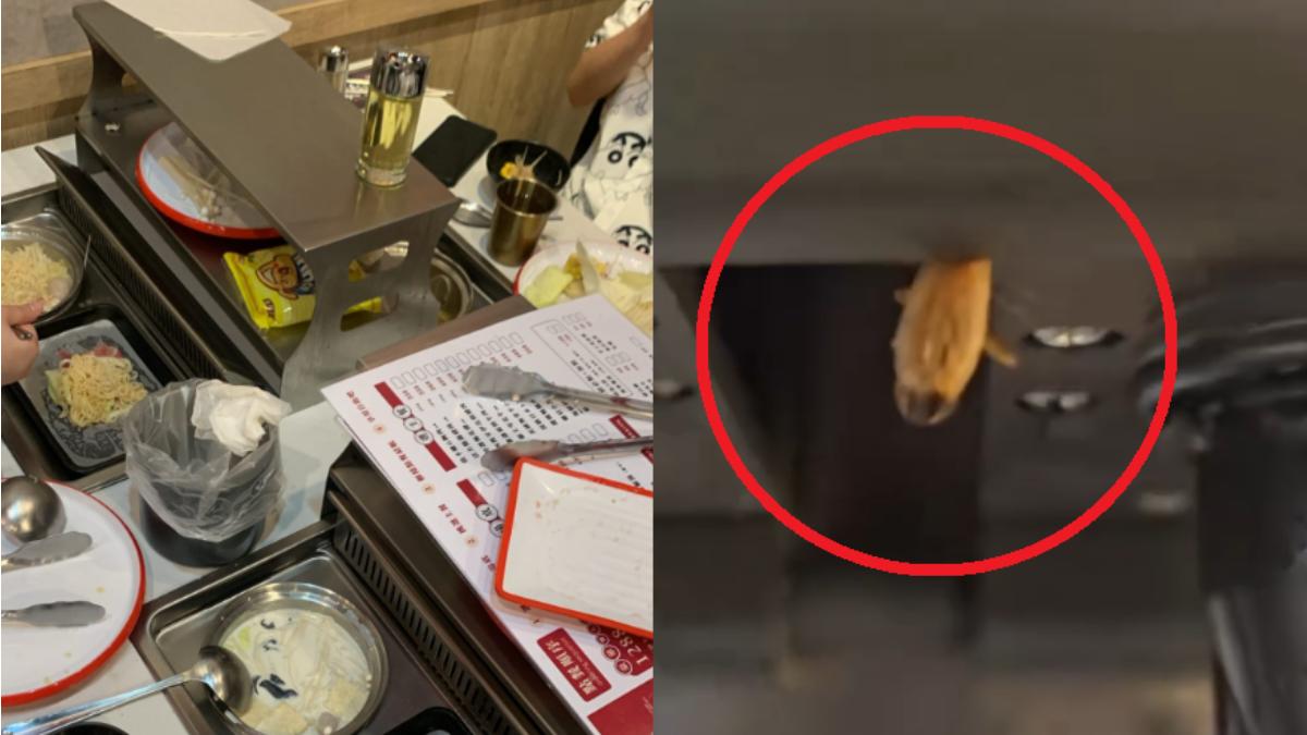連鎖火烤兩吃店食安出包！飲料機「懸掛小強乾屍」　業者認了遭罰