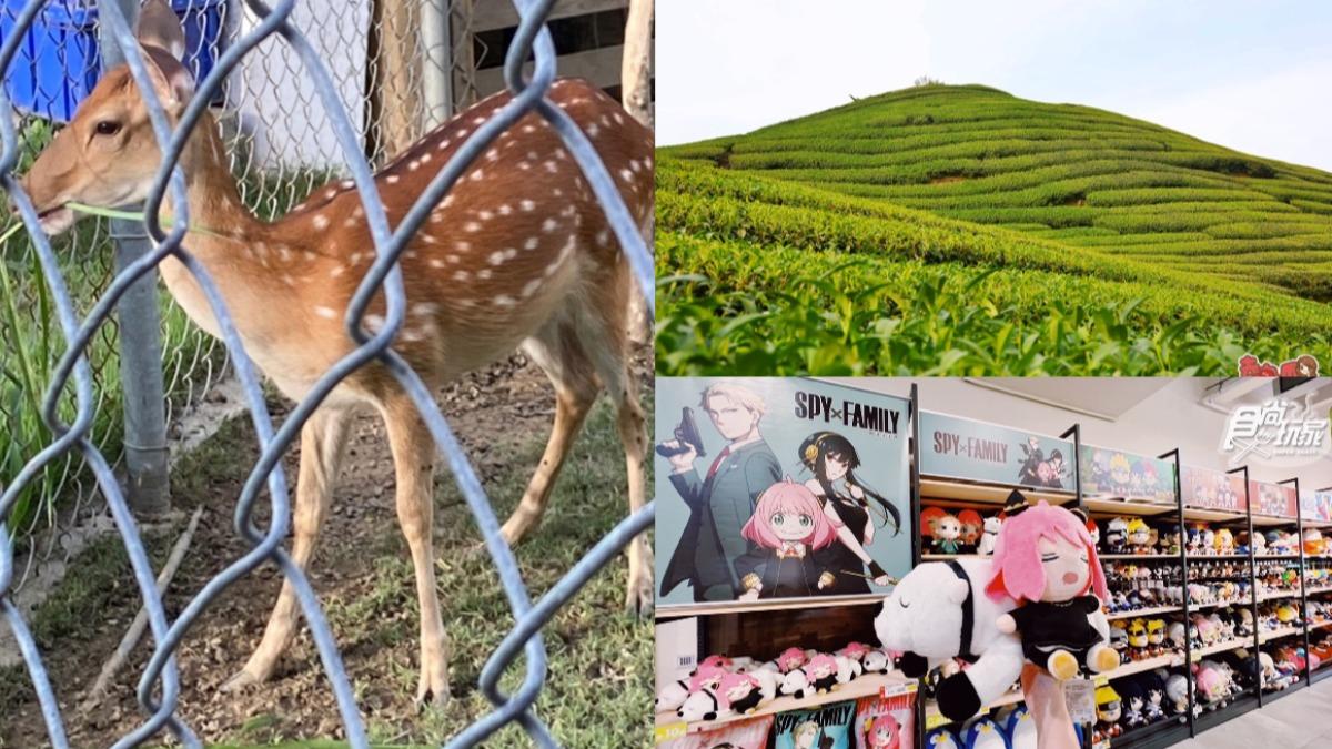 2025嘉義Top10免費景點。（圖／「珍太妃旅遊親子生活」、「熱血玩台南。跳躍新世界」、「食尚玩家」提供）