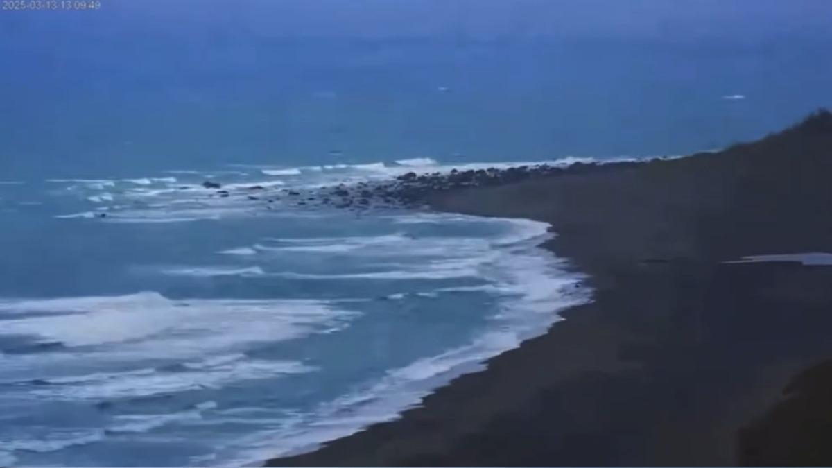 有片/台東外海5.7極淺層地震 東海岸「鏡頭君狂搖」