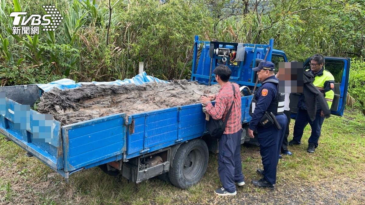 山老鼠盜伐價值14萬漂流木 「車上呼呼大睡」還藏毒被逮