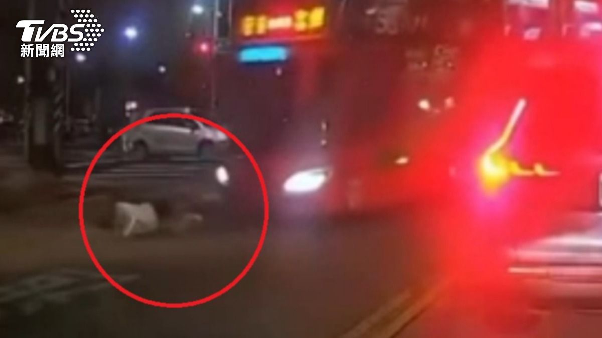 有片/全台多起行人地獄!新竹男遭客運撞噴 花蓮女慘摔趴地
