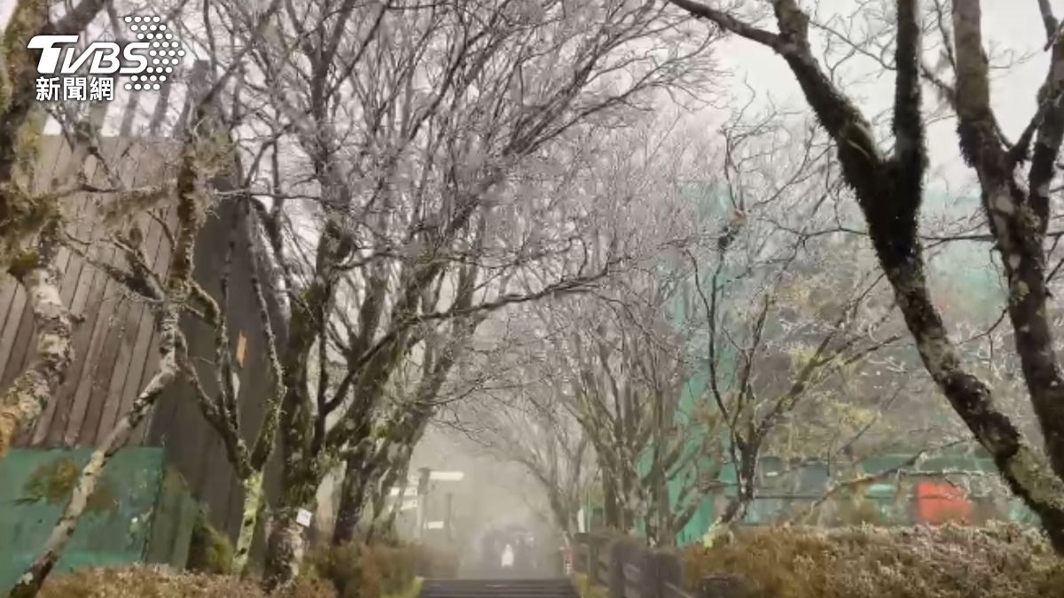 霧淞美景。(圖/TVBS)