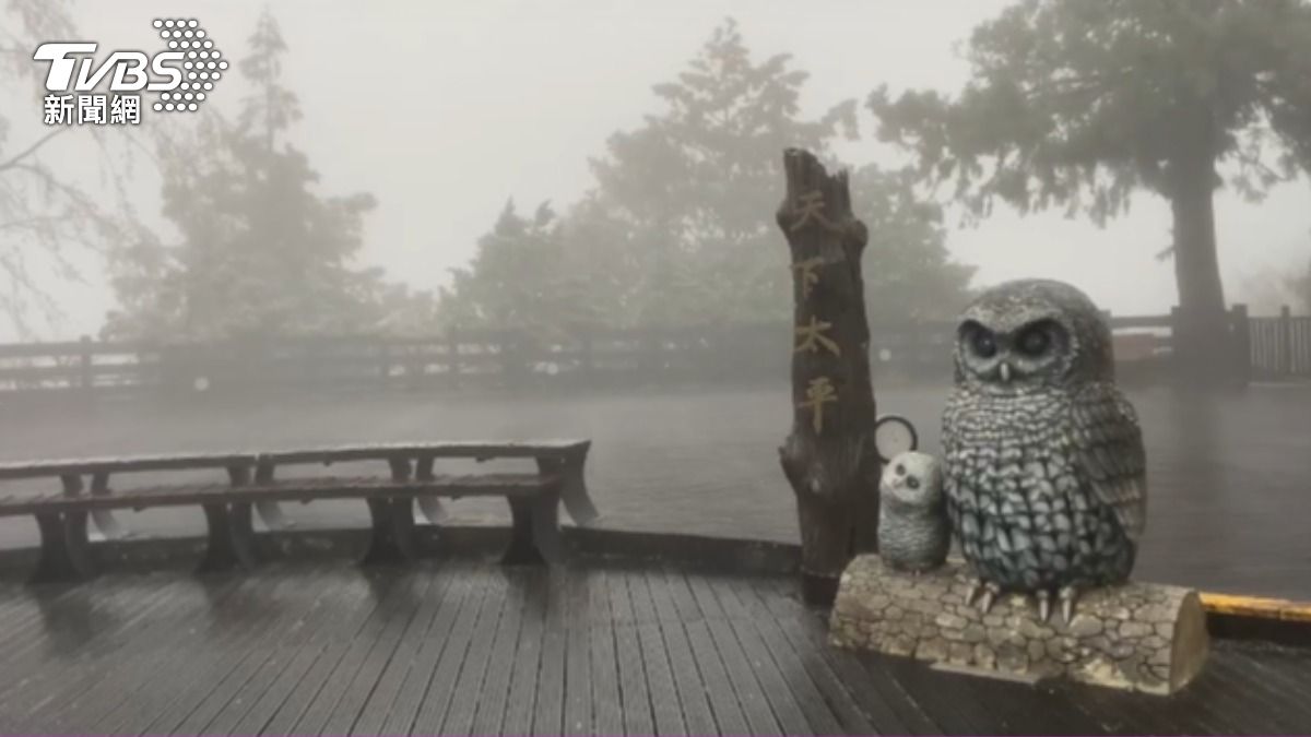 太平山氣溫達到攝氏零度。(圖/TVBS)