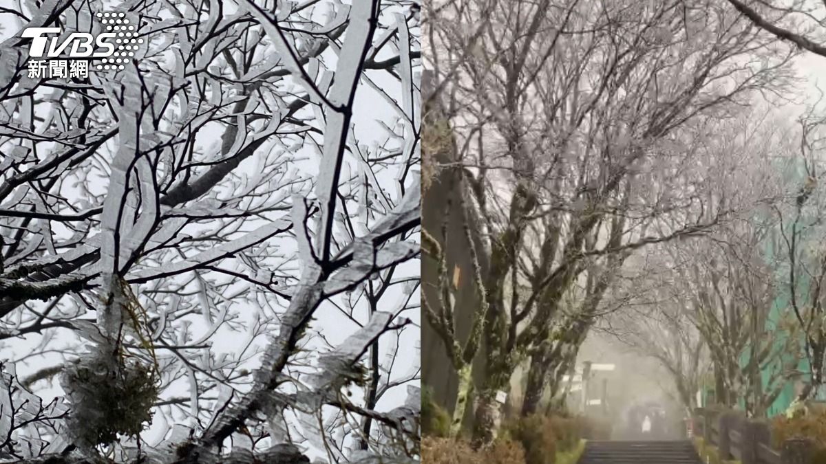 太平山尚未下雪,不過已見霧淞美景。(圖/TVBS)