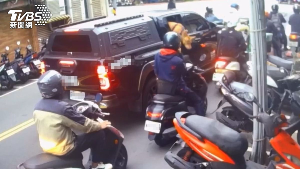 北市比特亂咬騎士!他開轟飼主「王大陸不會開車門,比特天天開車窗」