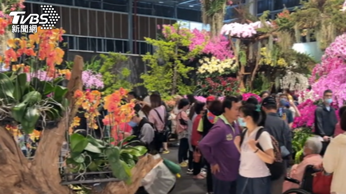 國際蘭展首周破14.3萬人！　比去年增長17%