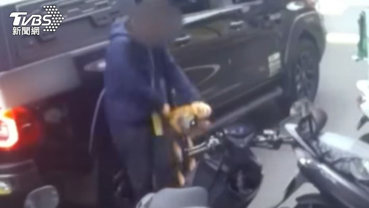 北市比特犬2度咬傷人!爆關說疑雲 飼主兒5點聲明:深感抱歉
