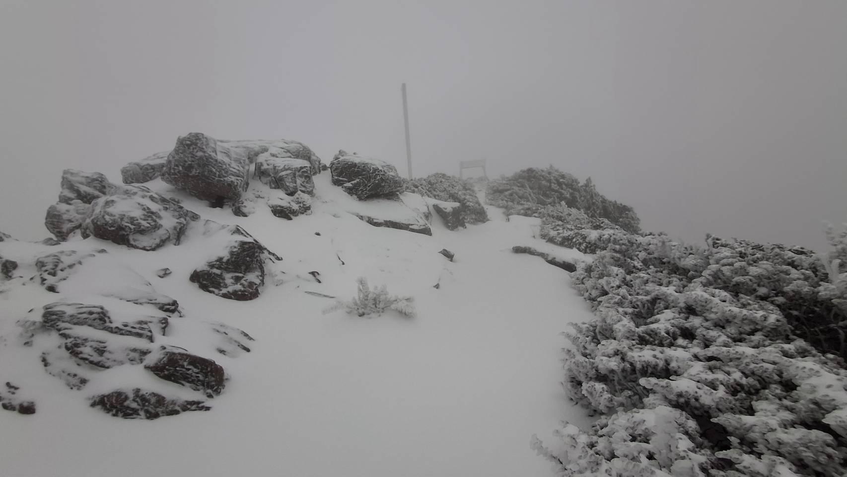 玉山魔王坡「2人遭雪埋」！　猛墜380m深谷