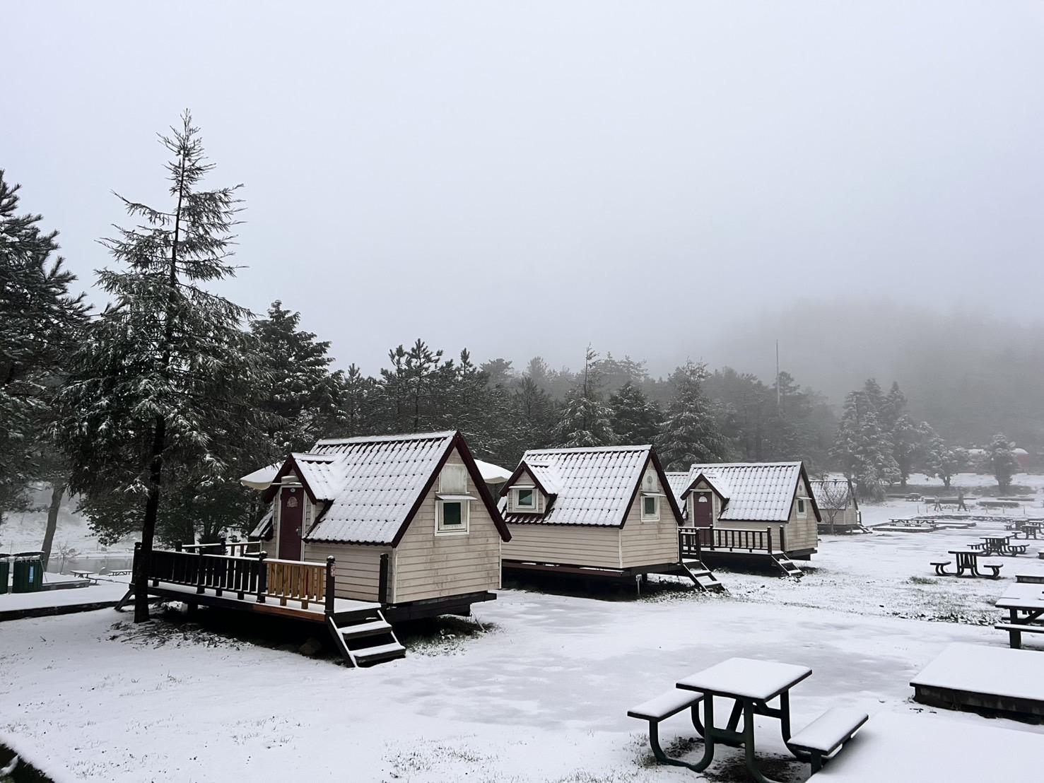 小木屋的屋頂、周遭染上白雪，頗有意境。（福壽山農場提供）