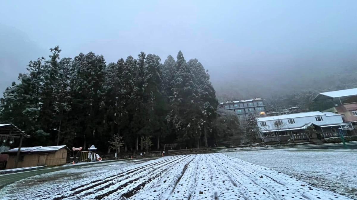冷氣團發威！新竹尖石鄉下雪　新光國小、司馬庫斯分校「停班停課」