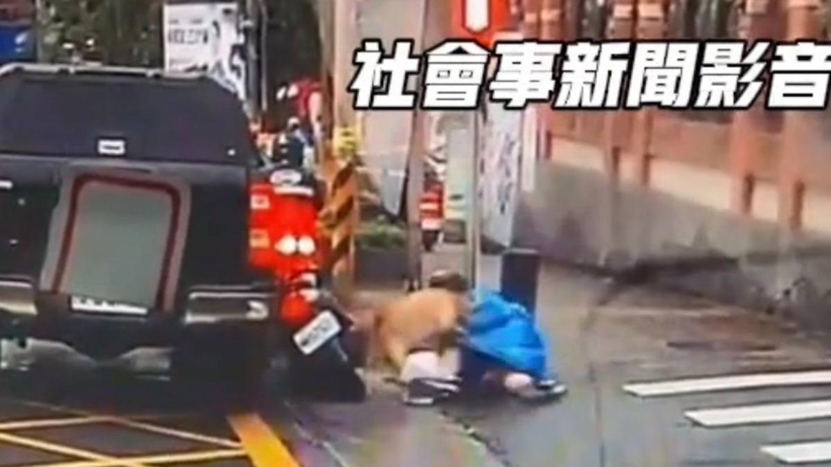 比特犬咬騎士不是巧合?他揪影片「3詭異點」 疑飼主下令攻擊