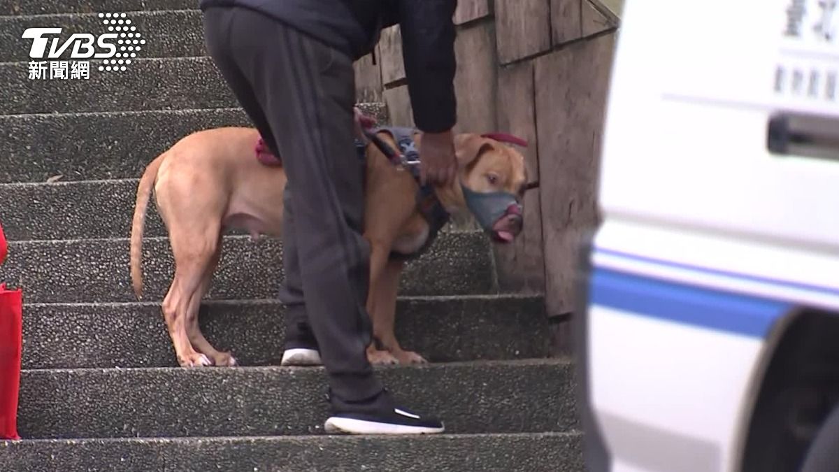 飼主向Lucky告別。(圖/TVBS)